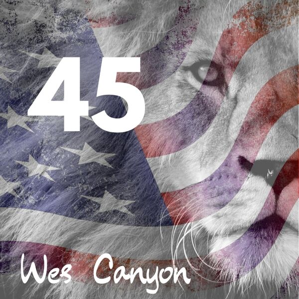 Cover art for 45